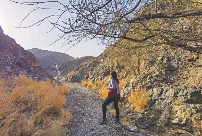 IMG_20210311_075421-01_resized_20210428_053003403