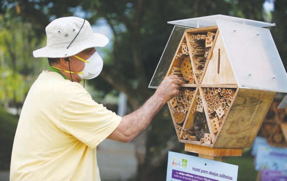 bamboo-bee