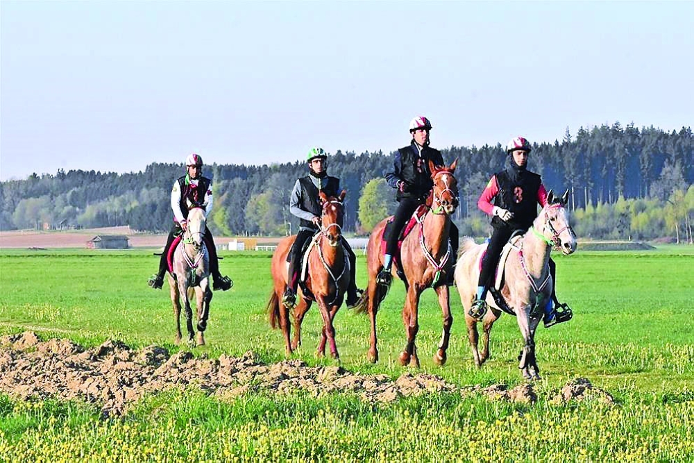 Royal Cavalry 2