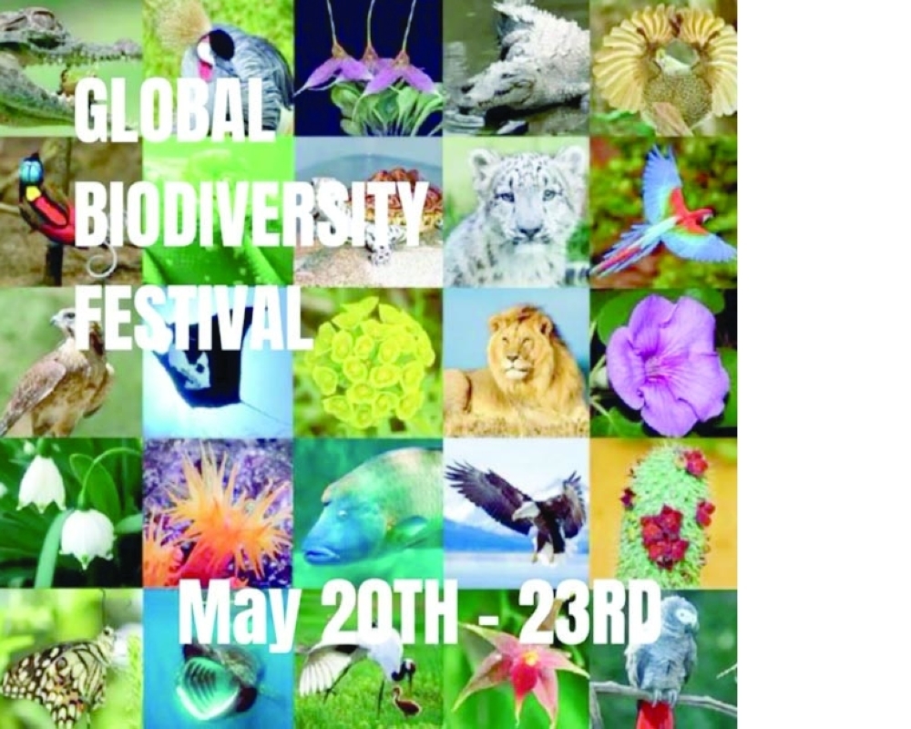 Biodiversity 1