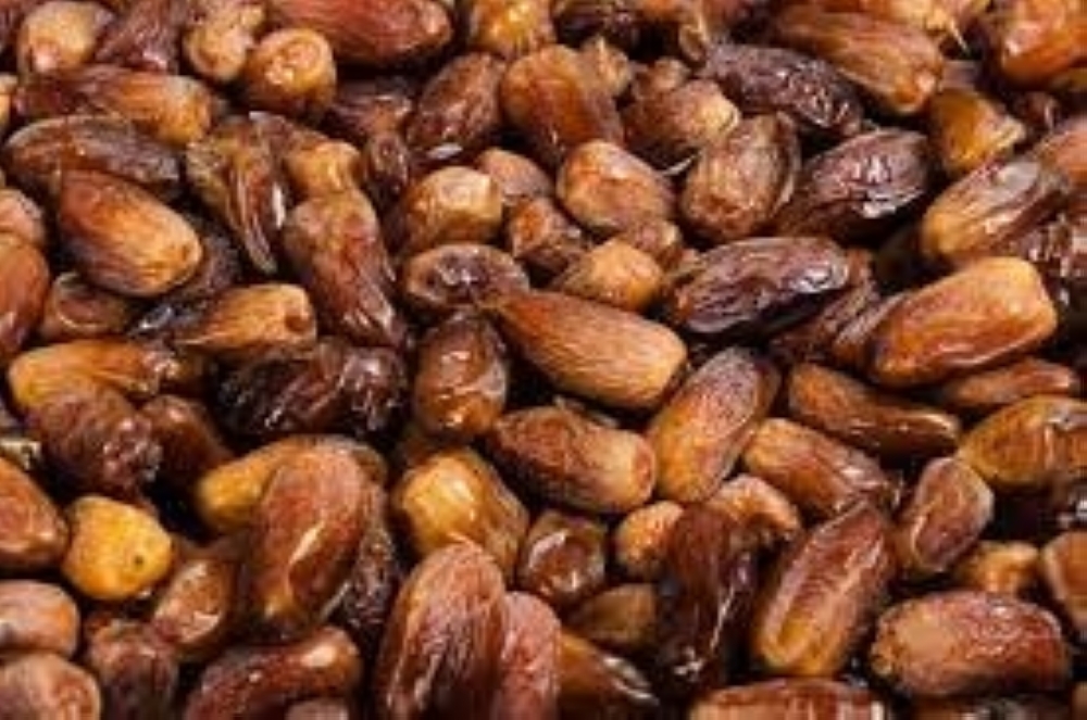 Now, Omani standard for dried dates Oman Observer