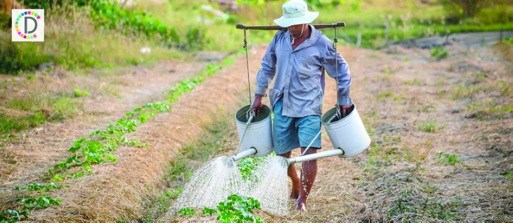 EU FARMS