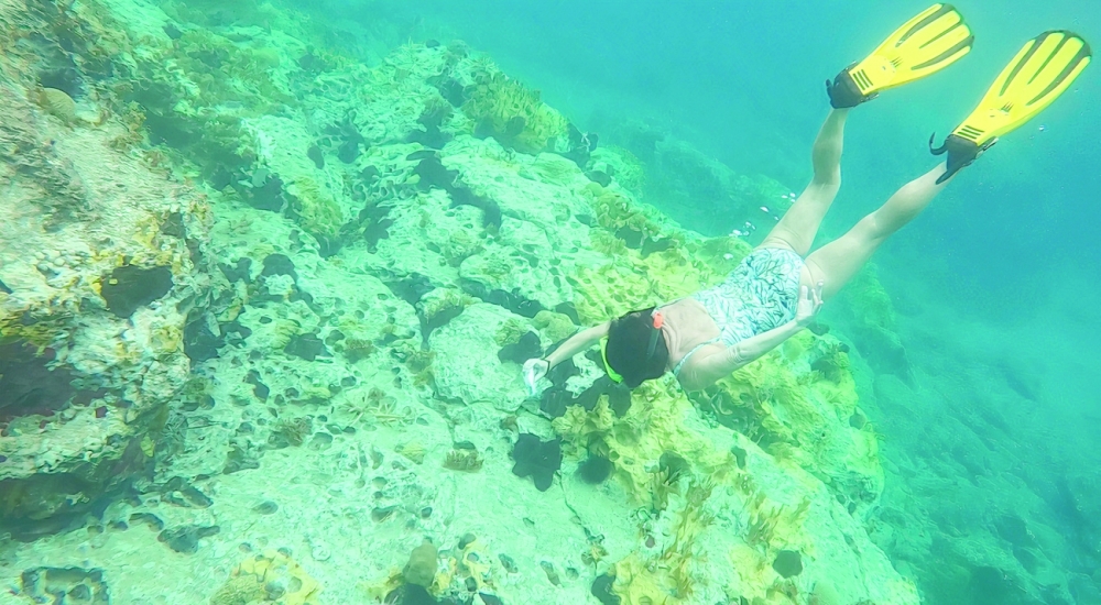 Marine scientist Deborah Brosnan does a research dive on a coral reef in Antigua and Barbuda. - Reuters  