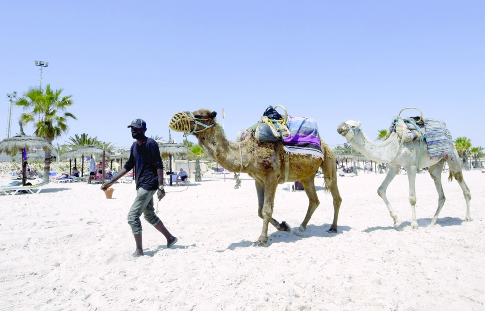 A man pulls camels at the beach in the Tunisian Mediterranean resort of Sousse. - AFP