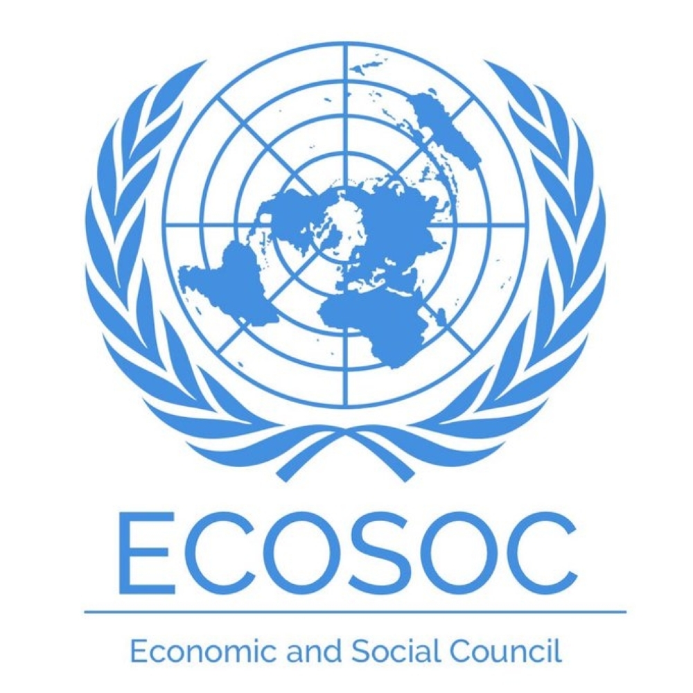 Oman Wins Membership to UN Economic and Social Council