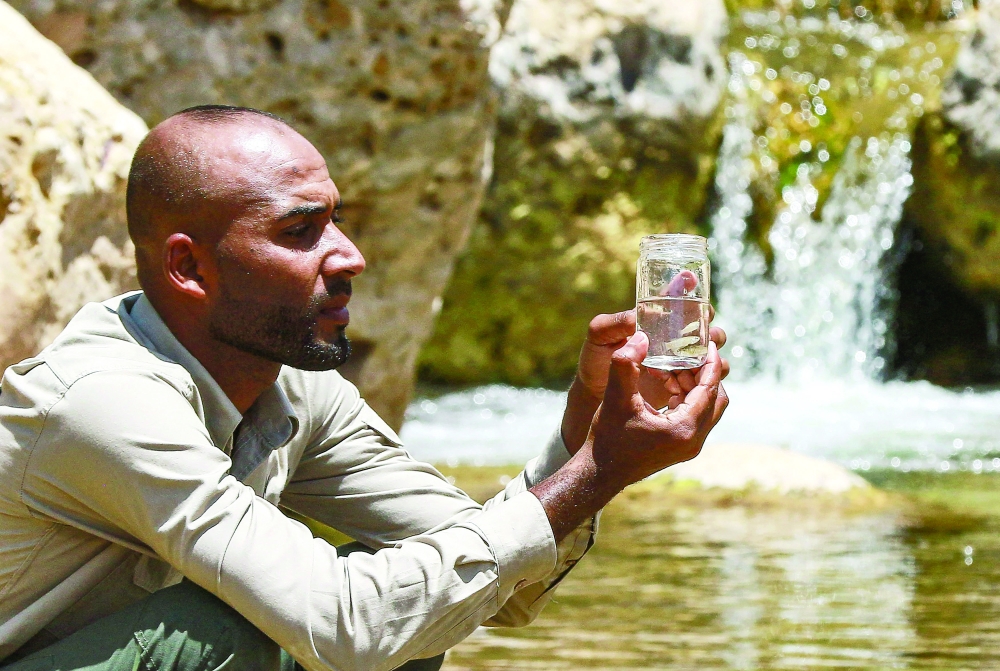 Abdullah Oshoush holds specimens of the endangered Dead Sea toothcarp in a glass jar at the reserve in the Jordan Rift Valley. — AFP