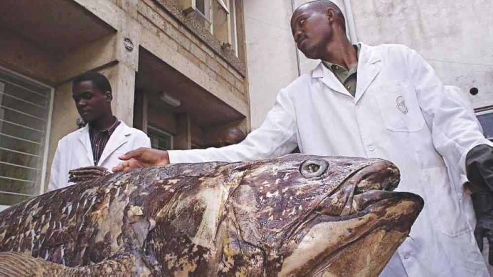 ST_20210620_FDFISH20_6630824