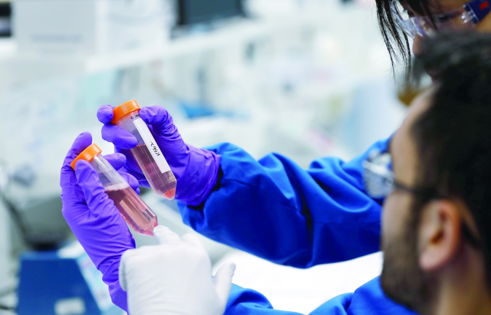 Scientists look at test tubes containing stem cells at the GlaxoSmithKline (GSK) research centre in Stevenage, Britain. - Reuters file photo