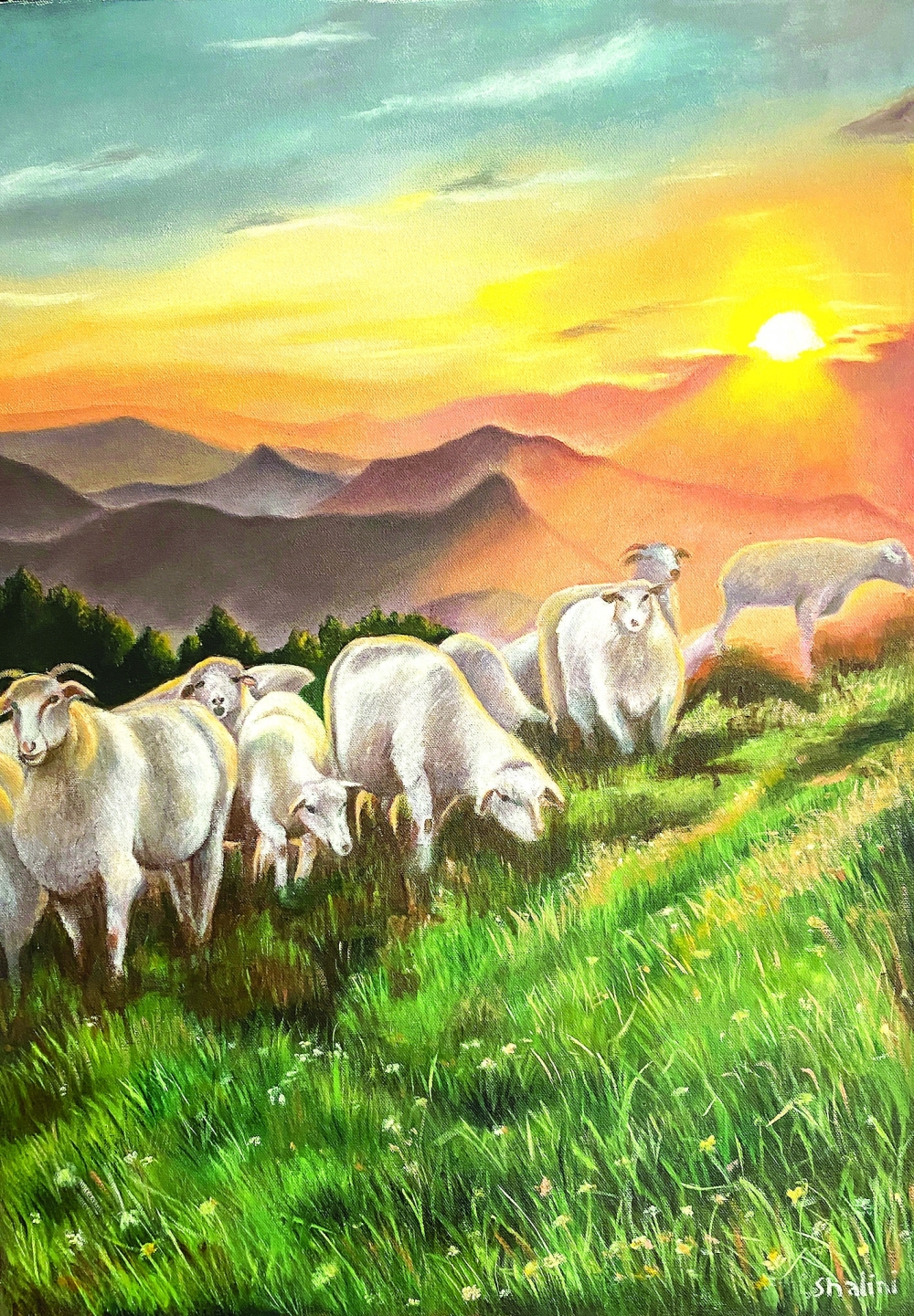 Chasing the Sun - Shalini Varma