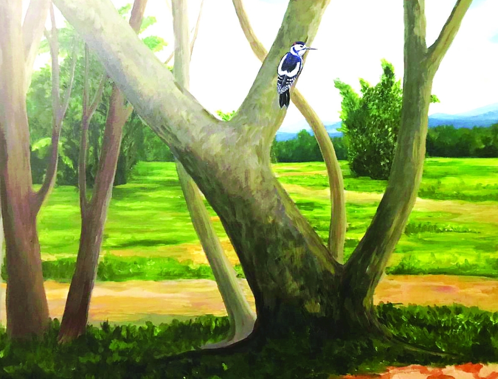 Hues of Harmony-Soubam Priyananda