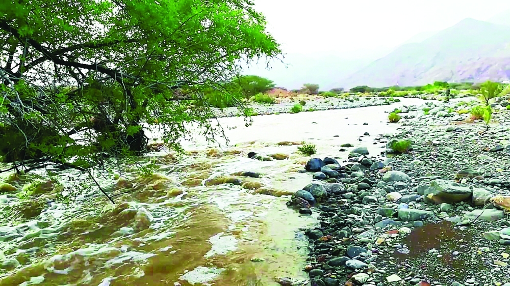 Rains  (3)