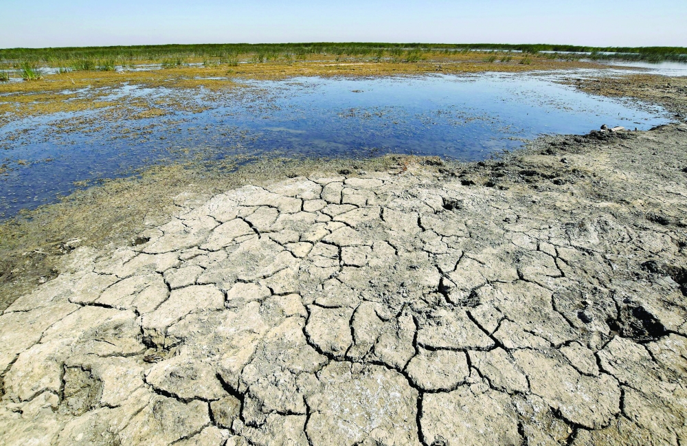 A view of drying earth in the Chibayesh marshland in Iraq's southern Ahwar area. AFP