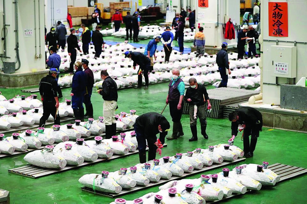 Wholesalers check the quality of frozen tuna displayed during the tuna auctions at Toyosu fish market in Tokyo. — Reuters