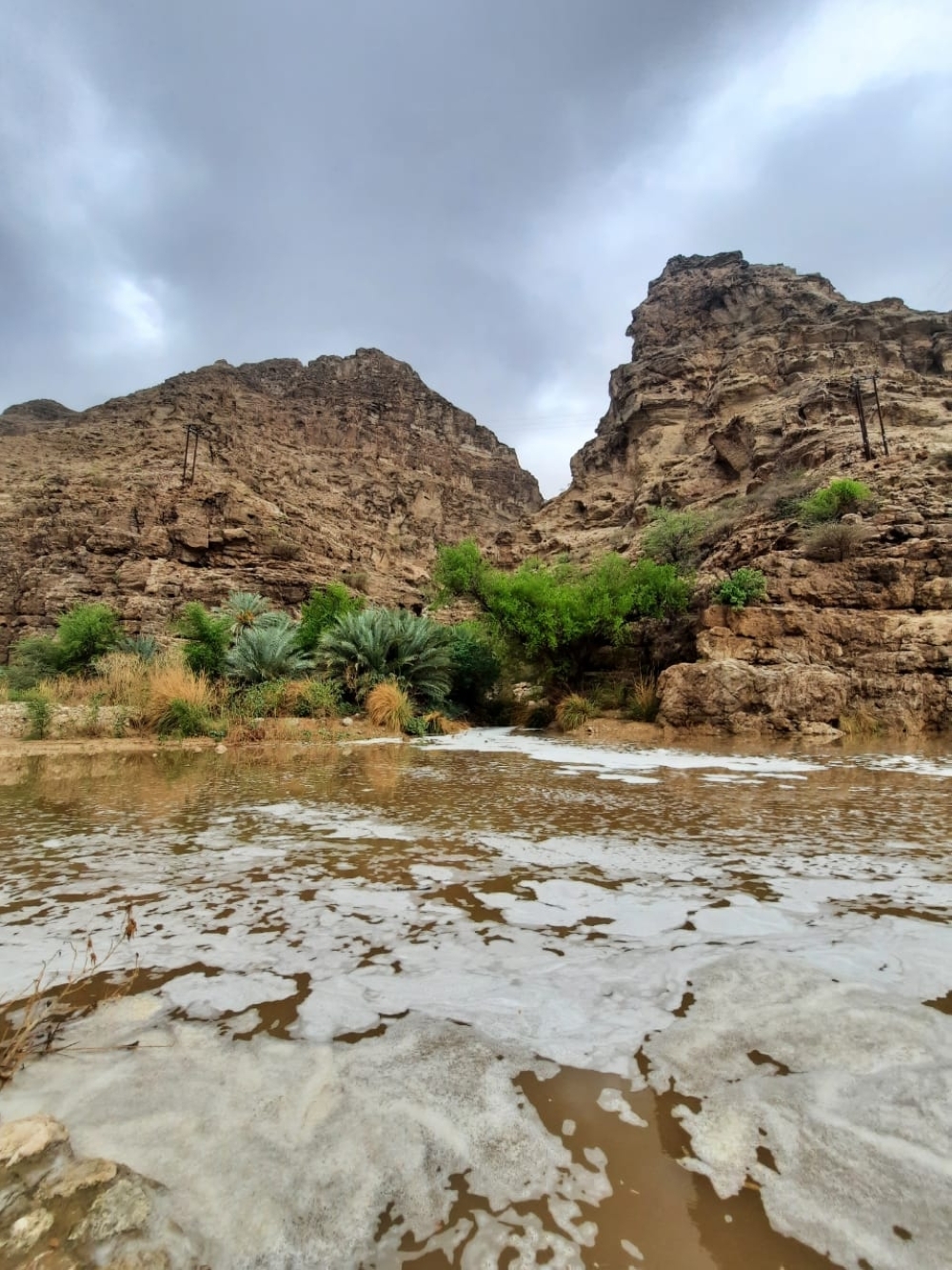 Photos by Mazoun al Ghailani