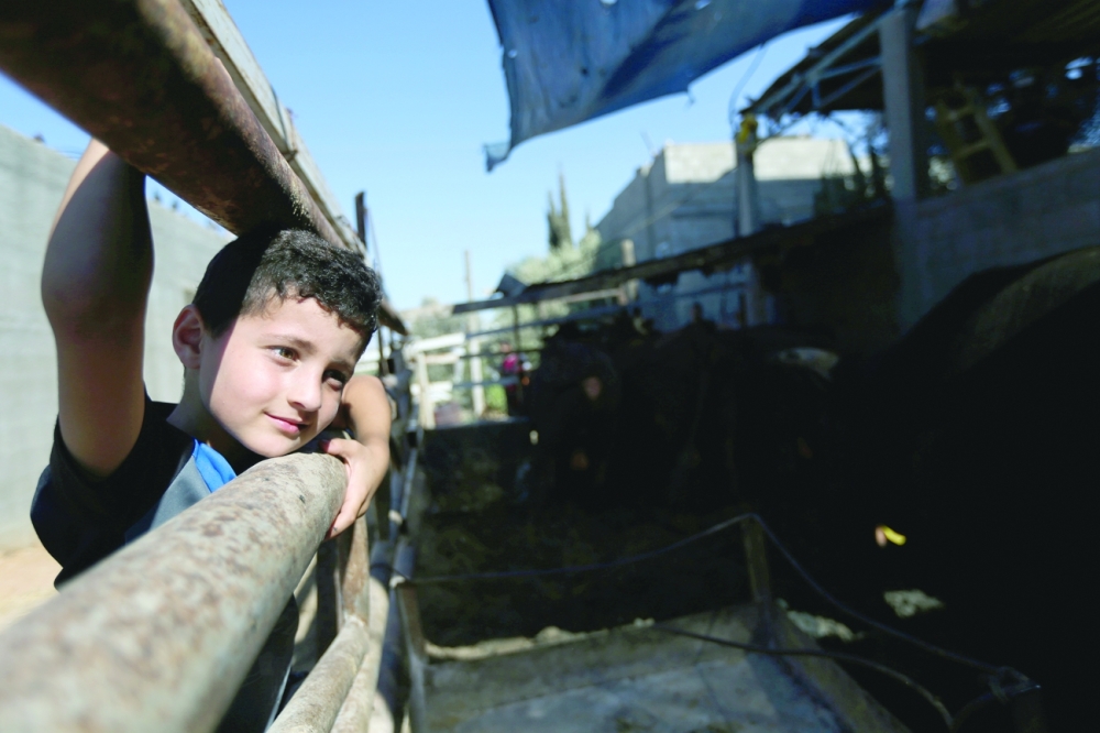Palestinian boy Adam Issa looks on at a cow farm in the central Gaza Strip. - Reuters 