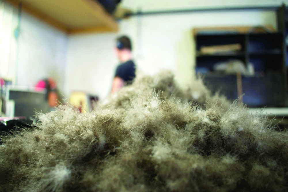 A close-up shows eiderdown after having been cleaned by machines at the King Eider company in Stykkisholmur, Iceland, on July 5, 2021. On a remote island in Breidafjordur Bay off the west coast of Iceland, a thousand-year-old harvest takes place, a hunt for elusive eiderdown, which is used to make some of the world's best duvets and quilts. The handpicked down sells for thousands of euros a kilogram, catering to those looking for exclusive products.
 (Photo by Jeremie RICHARD / AFP)

