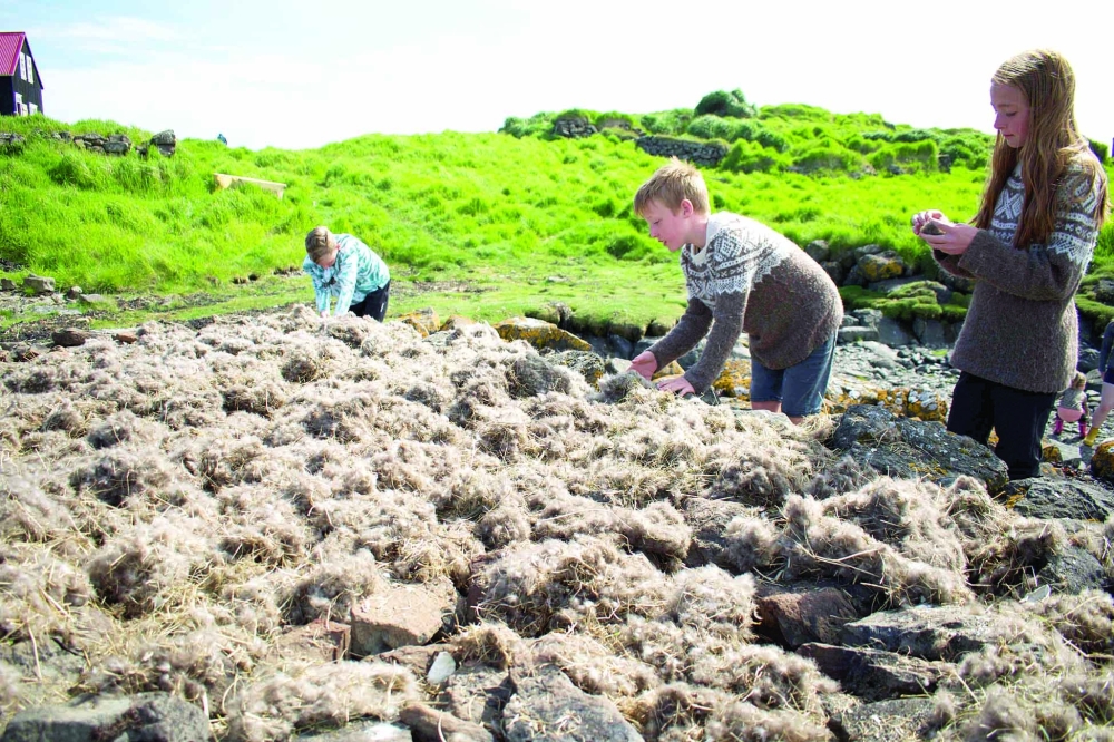 10-year-old Erla Fridriksdottir's son Arnar Hrafnsson (L) and his cousins dry the down in the open air on the Bjarneyjar island in Breidafjordur Bay, Iceland, on July 4, 2021. On a remote island in Breidafjordur Bay off the west coast of Iceland, a thousand-year-old harvest takes place, a hunt for elusive eiderdown, which is used to make some of the world's best duvets and quilts. The handpicked down sells for thousands of euros a kilogram, catering to those looking for exclusive products.
 (Photo by Jeremie RICHARD / AFP)

