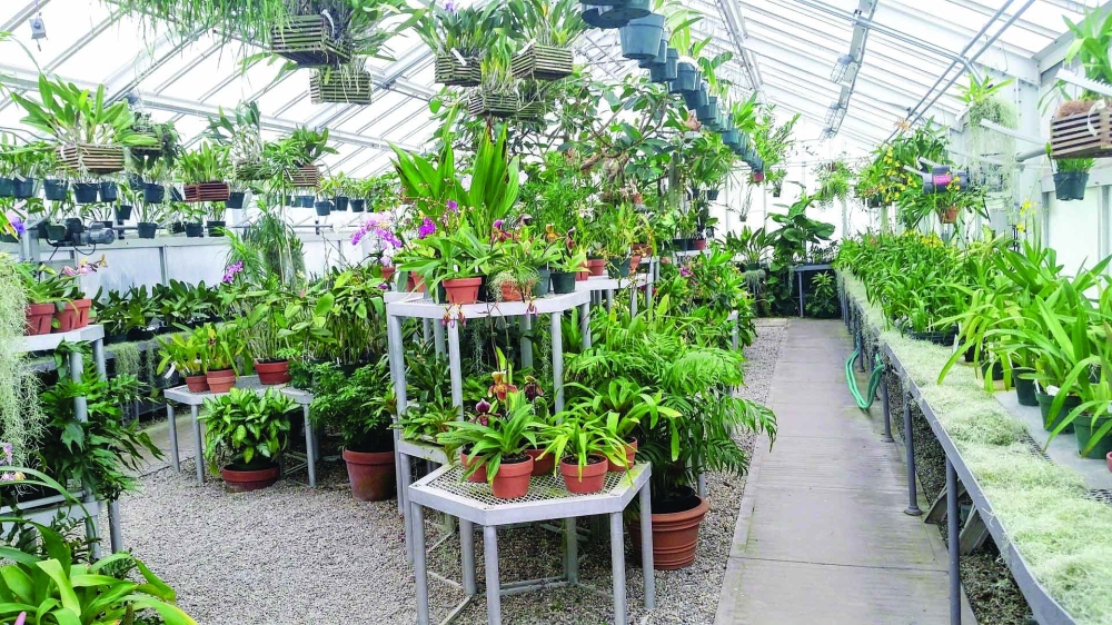 greenhouse