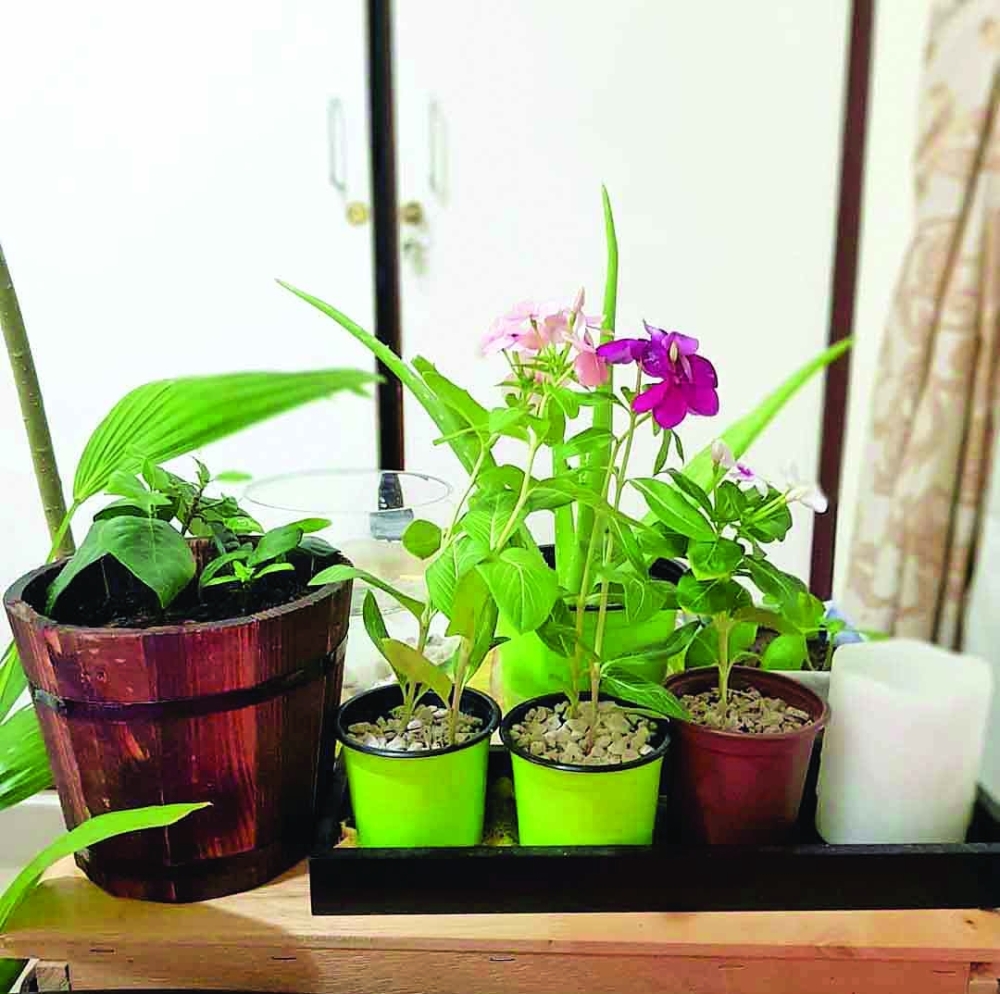 Screenshot_20210728-143413_Instagram