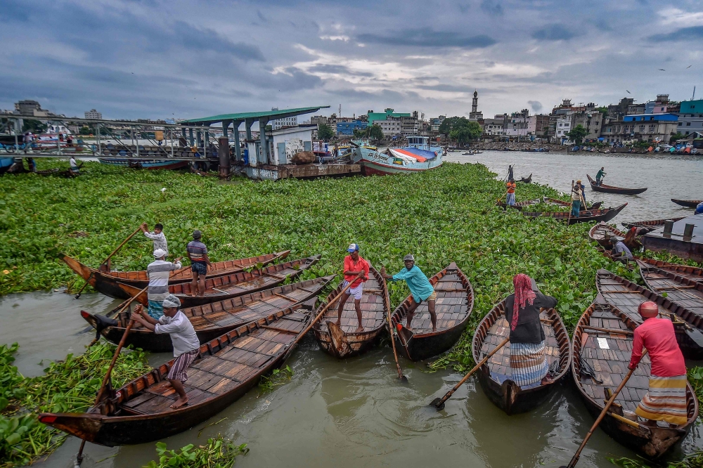 Boatmen remove hyacinth from water blocking their way in Buriganga river near Dhaka. - AFP 