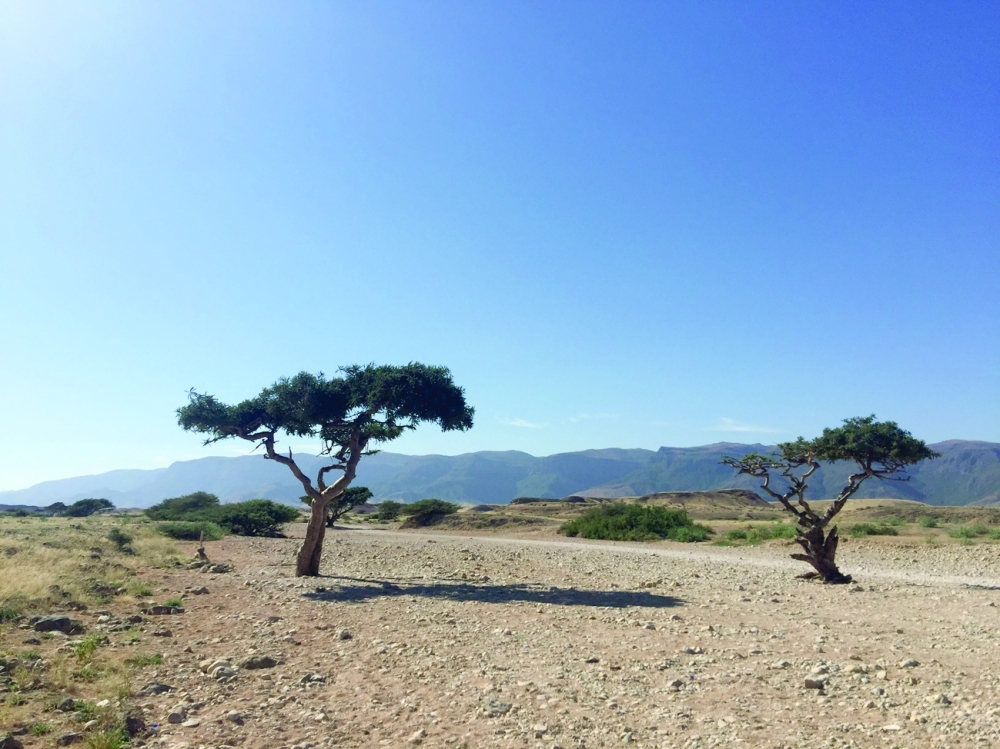 Salalah (1)