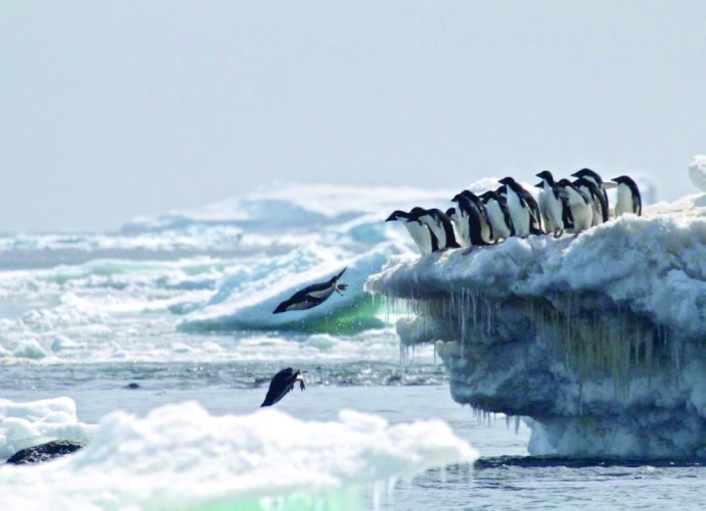 An international team of scientists examined two major instabilities in the Earth system, caused by changes in ice, oceans, and rainfall patterns.