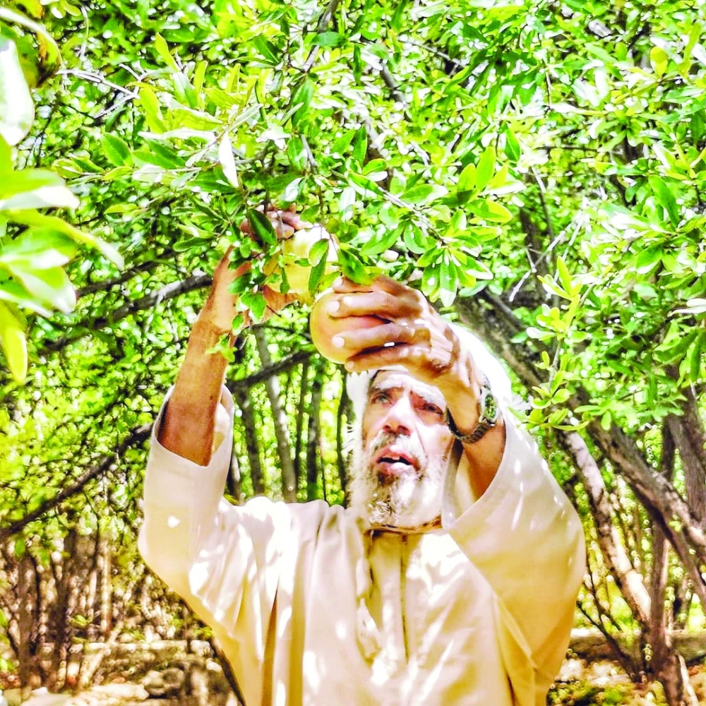 Pomegranate by Yeru Ebuen