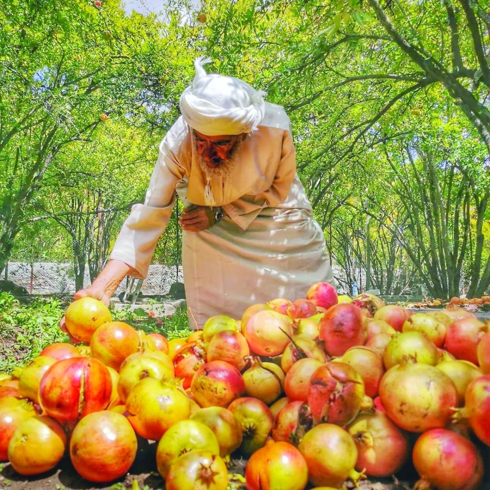 Pomegranate by Yeru Ebuen