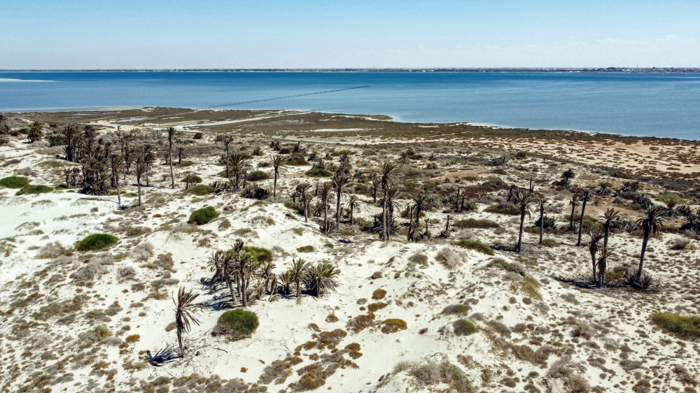 This picture taken on June 10, 2021 shows an aerial view of Libya's Farwa Island, about 170 kilometres west of the capital and close to the border with Tunisia. Once famed for its exceptional wildlife, Libya's Farwa island risks becoming just another victim of lawlessness in the war-ravaged North African nation, activists struggling to save it warn. An uninhabited 13-kilometre-long (eight mile) sandbar cut off at high tide in far western Libya, Farwa appears picture-postcard idyllic, with scattered date palms on white sandy beaches and ringed by the sparkling Mediterranean Sea. (Photo by Mahmud TURKIA / AFP)

