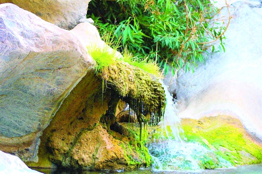 قرية-عجماء-بولاية-دماء-والطائيين4
