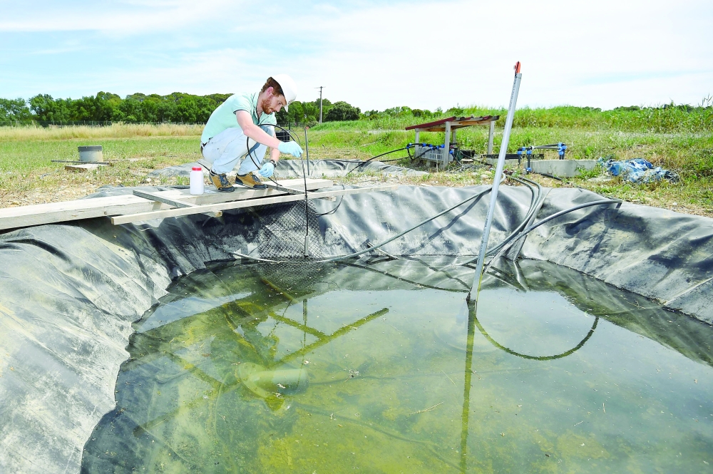 A technician checks the quality of the water with a probe at the wastewater treatment plant in Saint-Jean-de-Cornies, southern France. -- AFP  