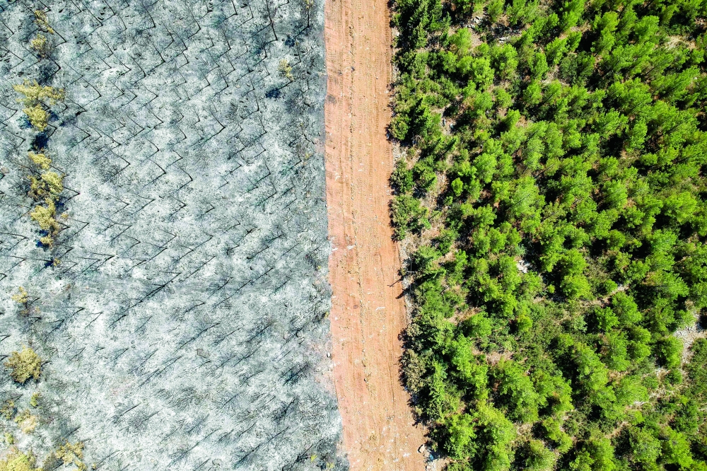 This aerial photo shows a track delimited burnt trees to a forest in Mugla district as Turkey struggles against its deadliest wildfires in decades. -- AFP