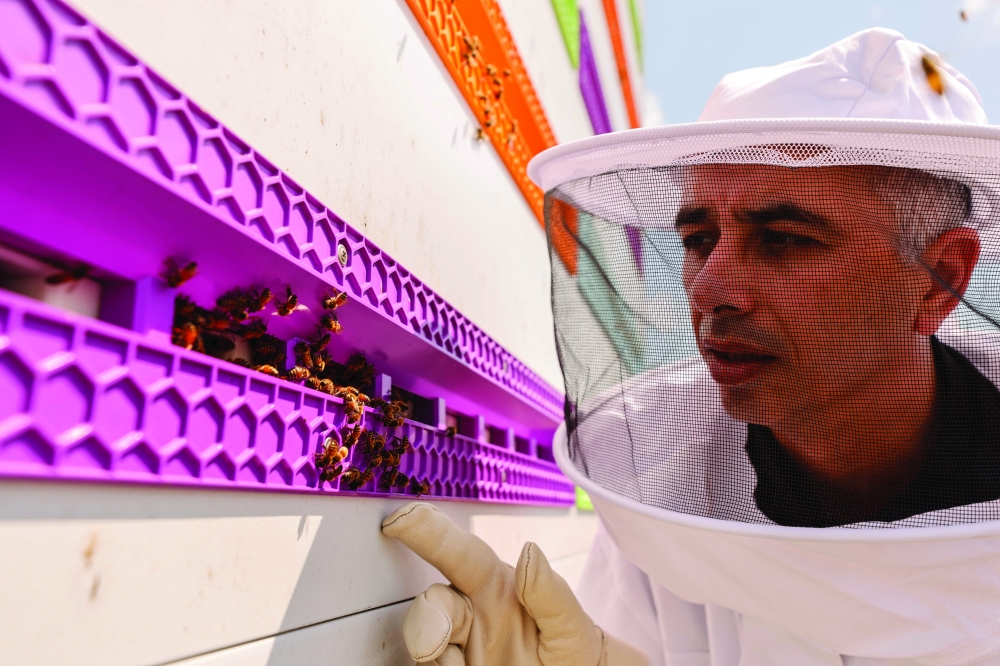 CEO Saar Safra looks at a robotic beehive developed by the Israeli startup company Beewise in Beit Haemek