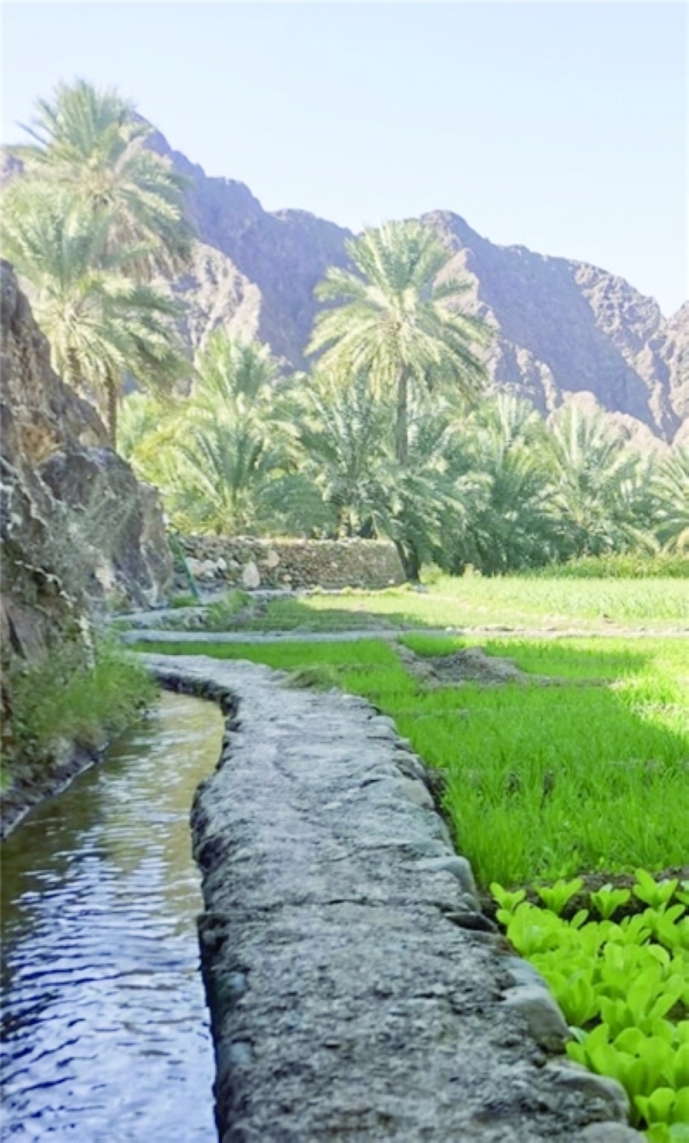 ببلاد-الشهوم-بعبري-واحة-غناء-وطبيعة-خلابة-4
