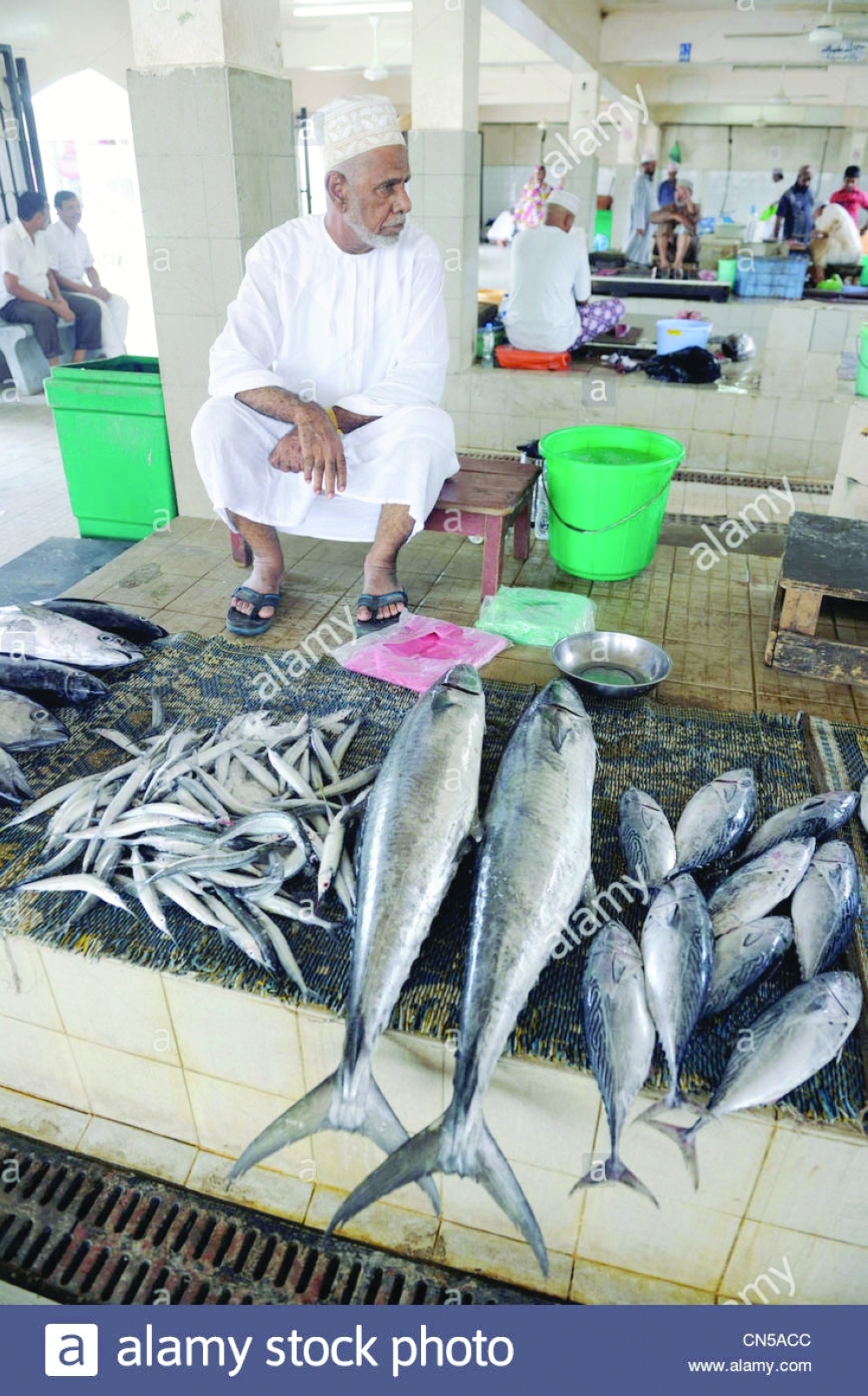 sultanate-of-oman-muscat-muttrah-corniche-fish-market-CN5ACC