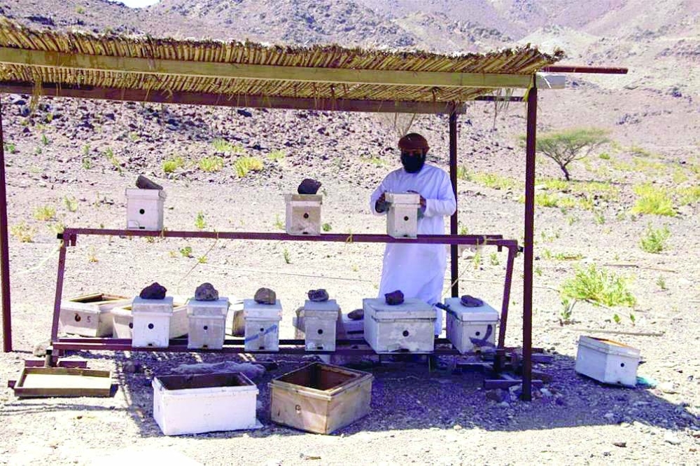 قرية-وال-بينقل3