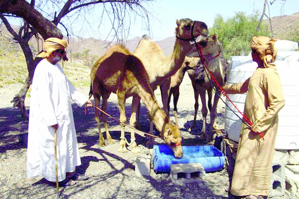 قرية-وال-بينقل4