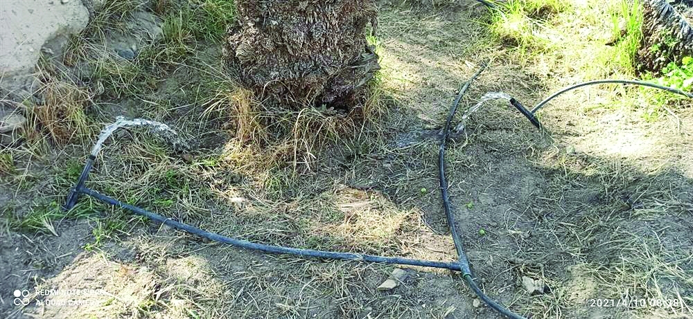 1الفعة-الثالثة-من-صور-مشروع-تطوير-النظم-الزراعية