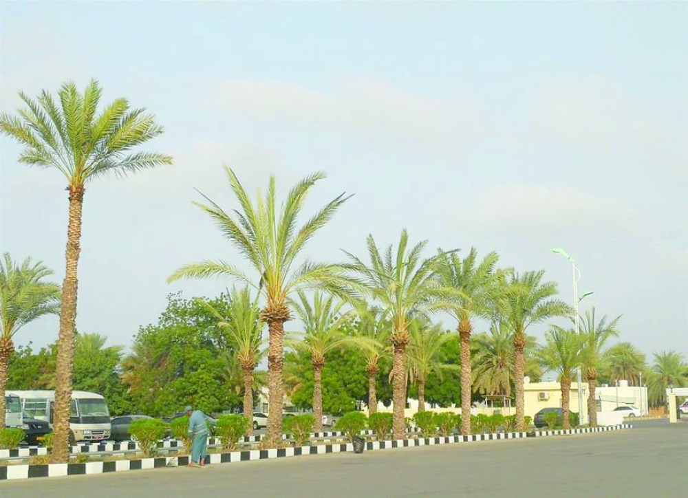 تنفيذ-عدة-مشاريع-تجميلية-في-ولاية-صحم1