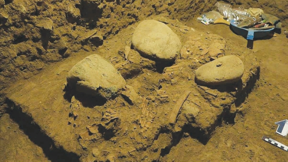 bones2