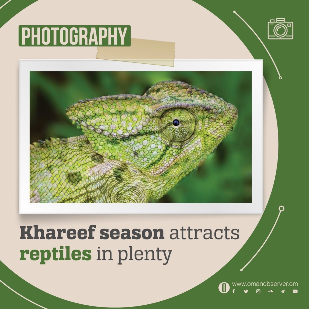 WhatsApp Image 2021-08-30 at 1.07.25 PM