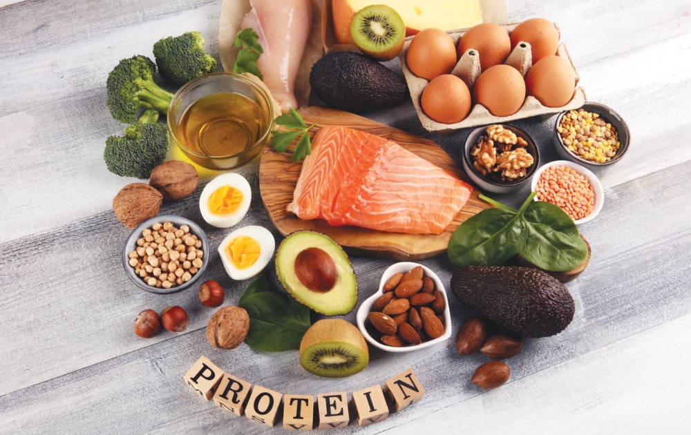 Protein-rich-foods