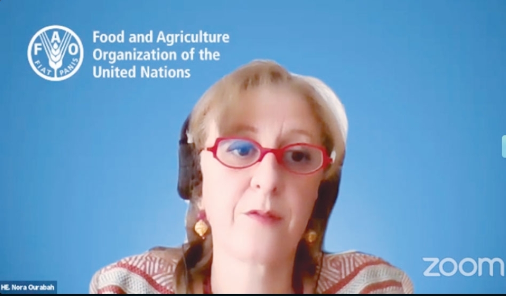 Dr Nora Ourabah Haddad