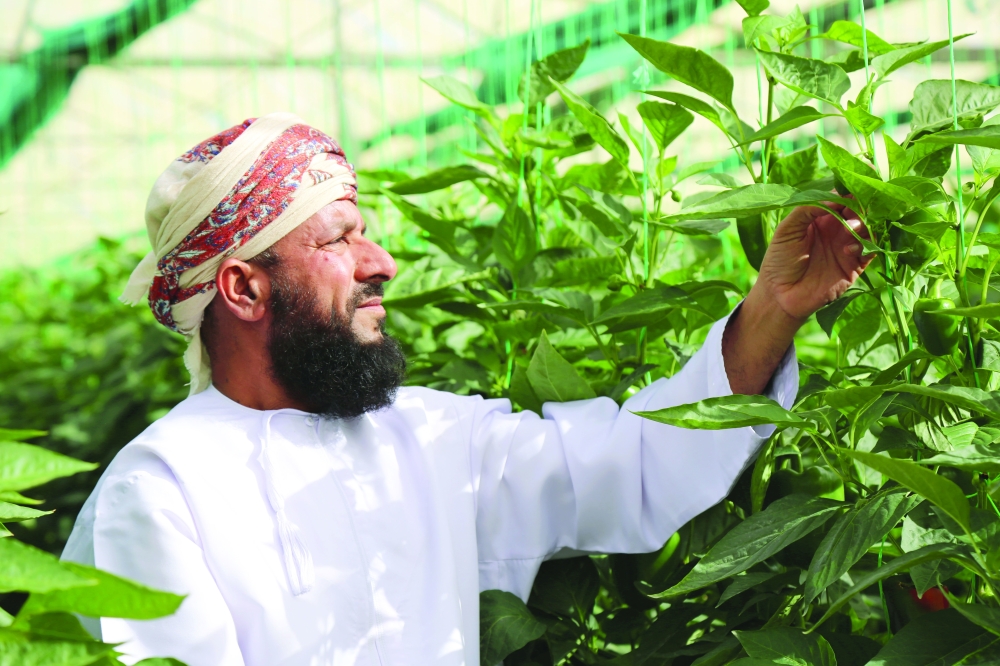 السلطنة-تُشارك-الدول-العربية-الاحتفال-بيوم-الزراعة-العربي3