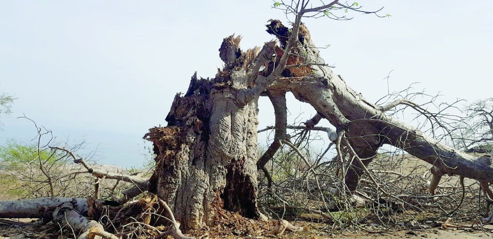 Environmental Threat