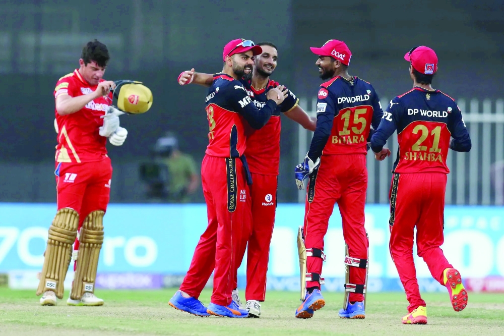 RCB Punjab