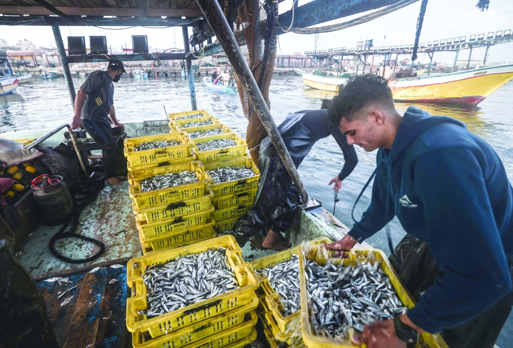Palestinian fishermen unload their catch off the coastline of Gaza City. - AFP