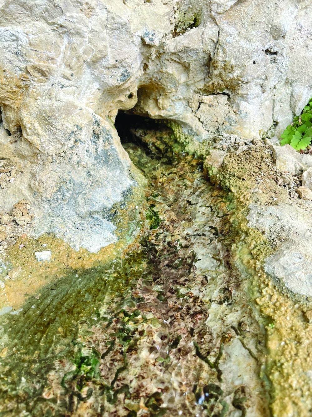 Ghamb Falaj water source