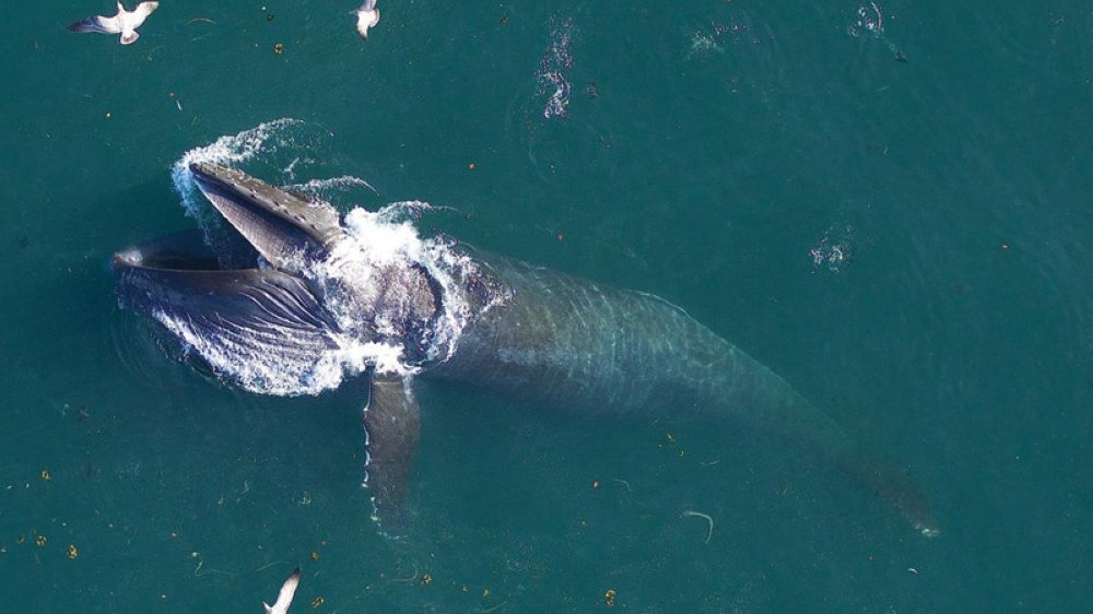 7WRLSCJXPBKQ7BOIVQ5SW6W7BU