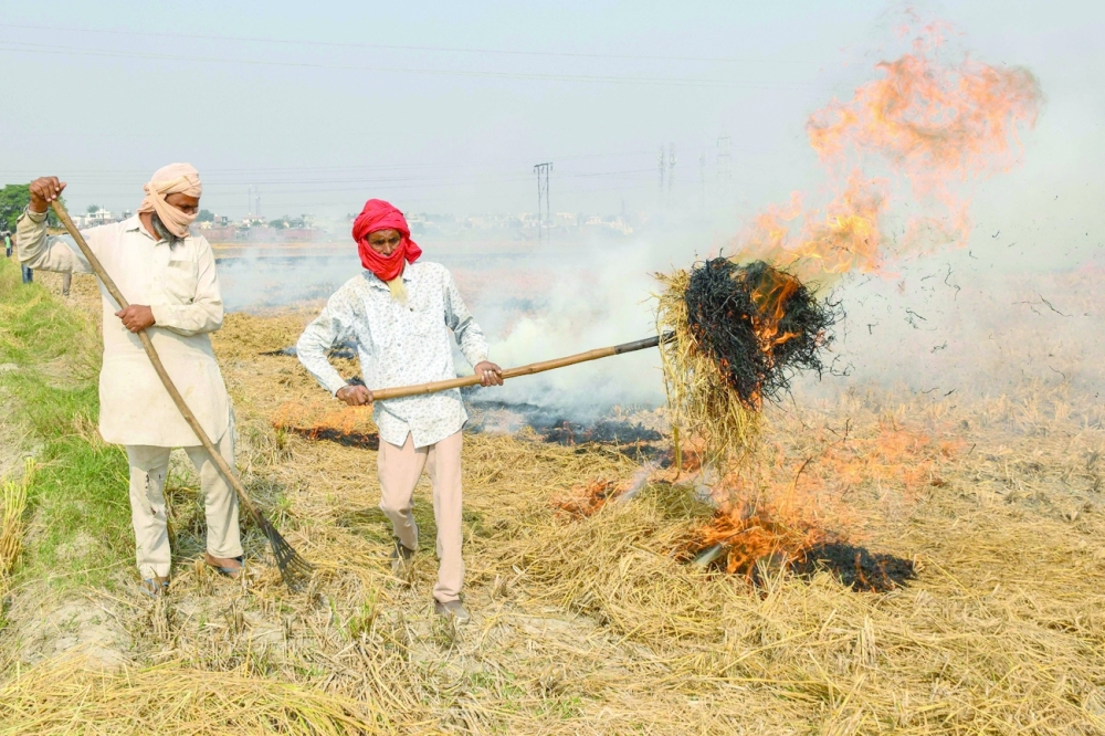 Farmers burn straw stubble after harvesting a paddy crop in a field on the outskirts of Amritsar on Saturday. - AFP